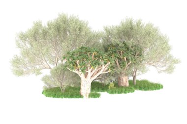 Beyaz arkaplanda izole edilmiş yeşil ağaçların 3d görüntülenmesi