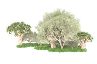 Beyaz arkaplanda izole edilmiş yeşil ağaçların 3d görüntülenmesi