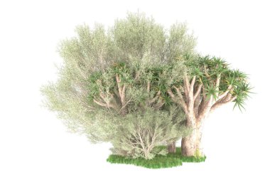 Beyaz arkaplanda izole edilmiş yeşil ağaçların 3d görüntülenmesi
