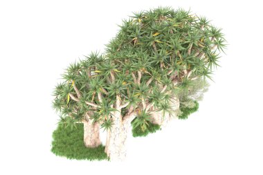 Beyaz arkaplanda izole edilmiş yeşil ağaçların 3d görüntülenmesi