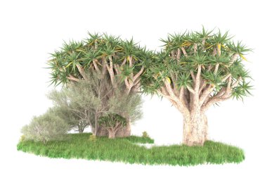 Beyaz arkaplanda izole edilmiş yeşil ağaçların 3d görüntülenmesi