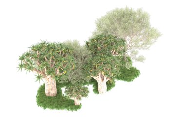 Beyaz arkaplanda izole edilmiş yeşil ağaçların 3d görüntülenmesi