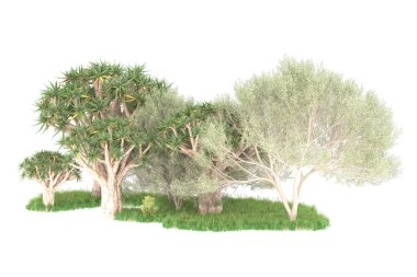 Orman beyaz arka planda izole edilmiş. 3d görüntüleme - illüstrasyon