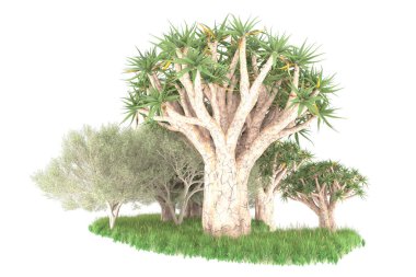 Orman beyaz arka planda izole edilmiş. 3d görüntüleme - illüstrasyon