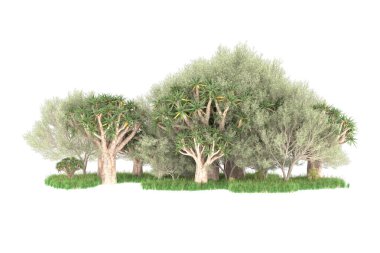 Orman beyaz arka planda izole edilmiş. 3d görüntüleme - illüstrasyon