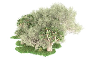 Orman beyaz arka planda izole edilmiş. 3d görüntüleme - illüstrasyon