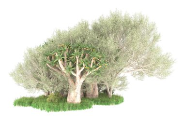 Orman beyaz arka planda izole edilmiş. 3d görüntüleme - illüstrasyon