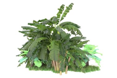 Arka planda izole edilmiş tropik orman düzeni. 3d görüntüleme - illüstrasyon