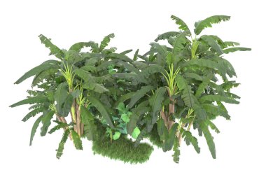Arka planda izole edilmiş tropik orman düzeni. 3d görüntüleme - illüstrasyon