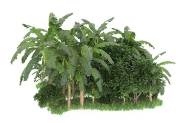Arka planda çimenlik alandaki palmiye ağaçları izole. 3d görüntüleme - illüstrasyon