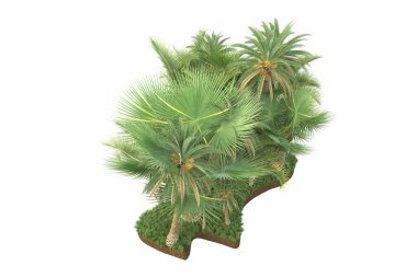 Arka planda çimenlik alandaki palmiye ağaçları izole. 3d görüntüleme - illüstrasyon