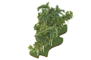 Arka planda izole edilmiş tropik orman düzeni. 3d görüntüleme - illüstrasyon