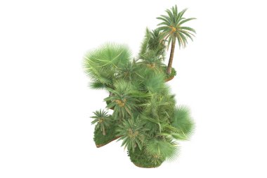 Arka planda çimenlik alandaki palmiye ağaçları izole. 3d görüntüleme - illüstrasyon