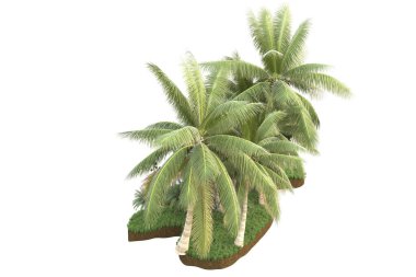 Arka planda çimenlik alandaki palmiye ağaçları izole. 3d görüntüleme - illüstrasyon