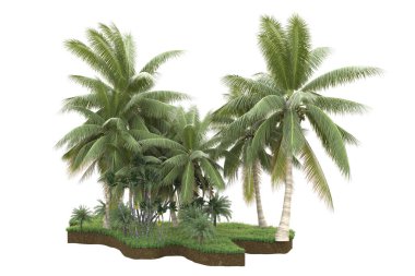 Arka planda çimenlik alandaki palmiye ağaçları izole. 3d görüntüleme - illüstrasyon