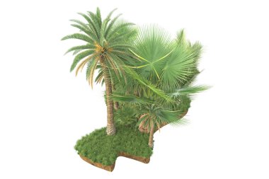 Arka planda çimenlik alandaki palmiye ağaçları izole. 3d görüntüleme - illüstrasyon