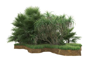 Arka planda çimenlik alandaki palmiye ağaçları izole. 3d görüntüleme - illüstrasyon