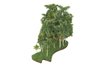 Arka planda çimenlik alandaki palmiye ağaçları izole. 3d görüntüleme - illüstrasyon
