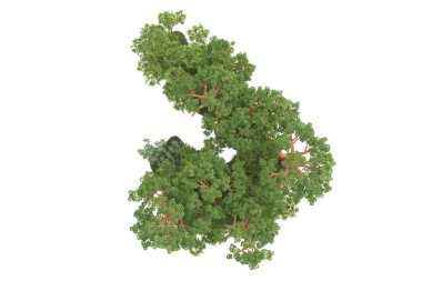 Arka planda çimenlik alandaki palmiye ağaçları izole. 3d görüntüleme - illüstrasyon