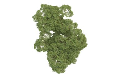 Arka planda çimenlik alandaki palmiye ağaçları izole. 3d görüntüleme - illüstrasyon