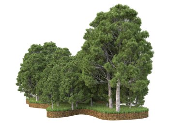 Beyaz arkaplanda izole edilmiş yeşil ağaçların 3d görüntülenmesi