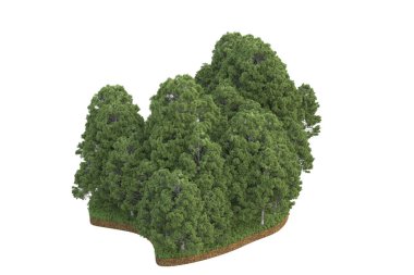 Beyaz arkaplanda izole edilmiş yeşil ağaçların 3d görüntülenmesi