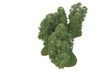 Beyaz arkaplanda izole edilmiş yeşil ağaçların 3d görüntülenmesi