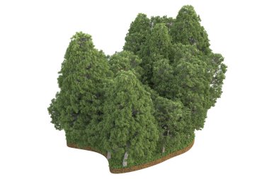 Beyaz arkaplanda izole edilmiş yeşil ağaçların 3d görüntülenmesi