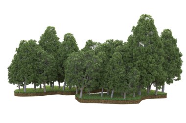 Beyaz arkaplanda izole edilmiş yeşil ağaçların 3d görüntülenmesi