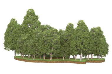 Beyaz arkaplanda izole edilmiş yeşil ağaçların 3d görüntülenmesi