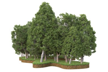 Beyaz arkaplanda izole edilmiş yeşil ağaçların 3d görüntülenmesi