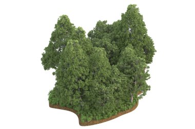 Beyaz arkaplanda izole edilmiş yeşil ağaçların 3d görüntülenmesi