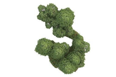 Beyaz arkaplanda izole edilmiş yeşil ağaçların 3d görüntülenmesi