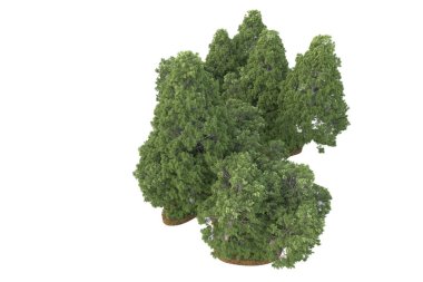 Beyaz arkaplanda izole edilmiş yeşil ağaçların 3d görüntülenmesi