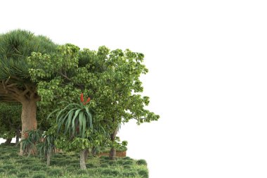 Beyaz arkaplanda izole edilmiş yeşil ağaçların 3d görüntülenmesi