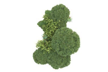 Beyaz arkaplanda izole edilmiş yeşil ağaçların 3d görüntülenmesi