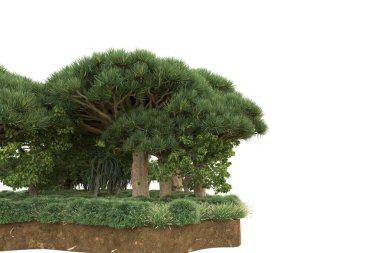 Beyaz arkaplanda izole edilmiş yeşil ağaçların 3d görüntülenmesi