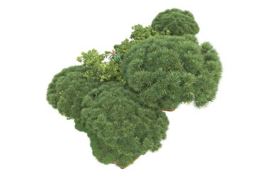 Beyaz arkaplanda izole edilmiş yeşil ağaçların 3d görüntülenmesi