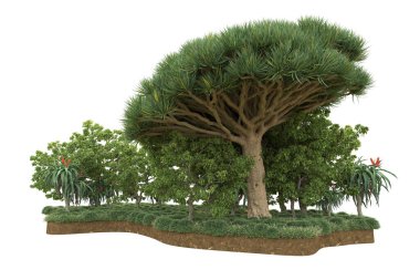 Beyaz arkaplanda izole edilmiş yeşil ağaçların 3d görüntülenmesi