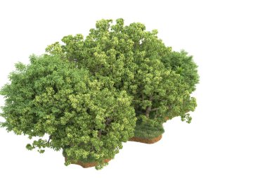 Beyaz arkaplanda izole edilmiş yeşil ağaçların 3d görüntülenmesi