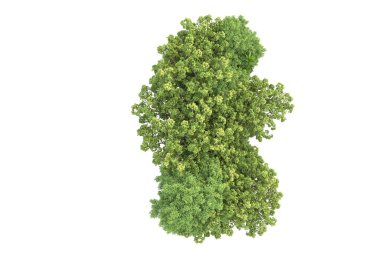 Beyaz arkaplanda izole edilmiş yeşil ağaçların 3d görüntülenmesi