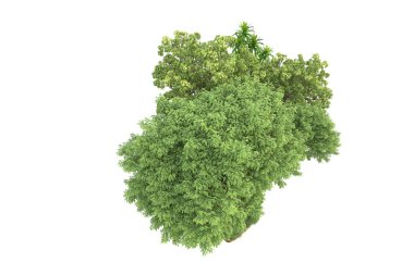 Beyaz arkaplanda izole edilmiş yeşil ağaçların 3d görüntülenmesi
