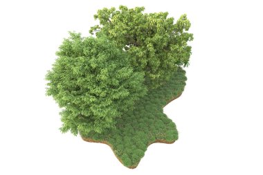 Beyaz arkaplanda izole edilmiş yeşil ağaçların 3d görüntülenmesi