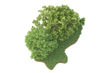 Beyaz arkaplanda izole edilmiş yeşil ağaçların 3d görüntülenmesi