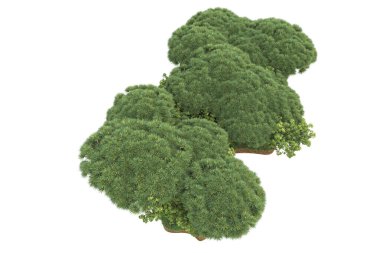 Beyaz arkaplanda izole edilmiş yeşil ağaçların 3d görüntülenmesi