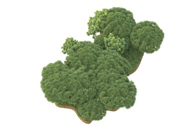 Beyaz arkaplanda izole edilmiş yeşil ağaçların 3d görüntülenmesi