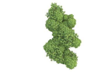 Beyaz arkaplanda izole edilmiş yeşil ağaçların 3d görüntülenmesi