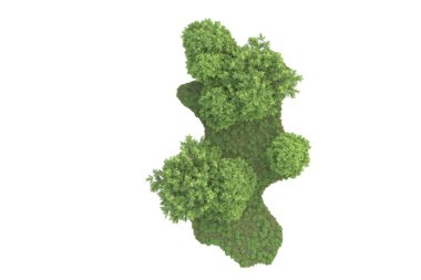 Beyaz arkaplanda izole edilmiş yeşil ağaçların 3d görüntülenmesi