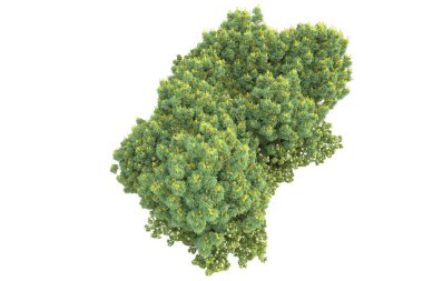 Beyaz arkaplanda izole edilmiş yeşil ağaçların 3d görüntülenmesi