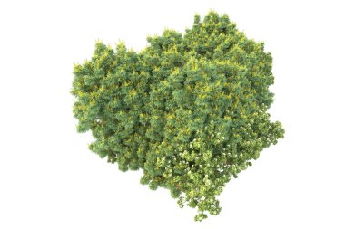 Beyaz arkaplanda izole edilmiş yeşil ağaçların 3d görüntülenmesi